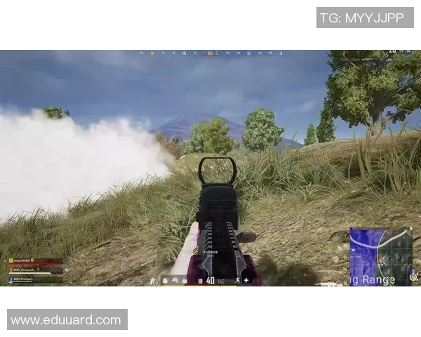 和平精英战术解析IG战队阵地战体系的成功之道与策略探讨