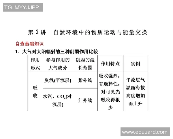 武汉极限运动队状态分析与表现评估的全面研究报告