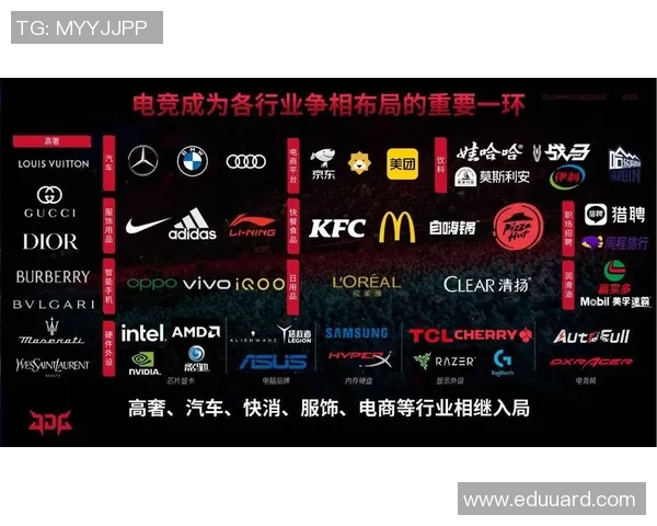 深度解析JDG战队运营体系与英雄联盟战术的完美结合